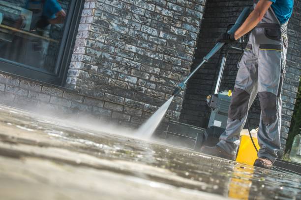 Best Pre-Holiday Cleaning  in Lyford, TX