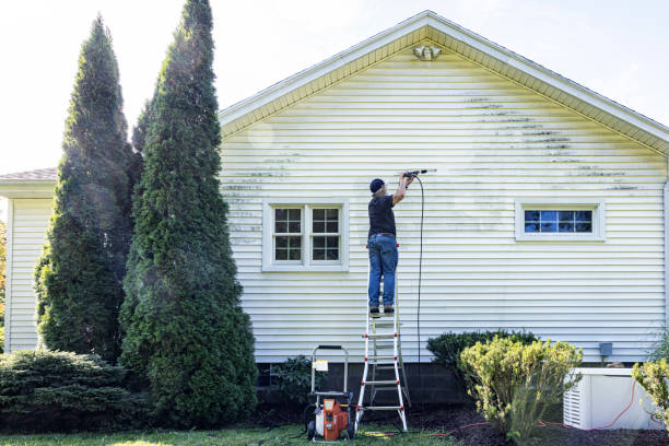 Best Driveway Pressure Washing  in Lyford, TX