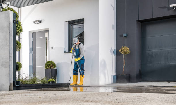 Best Sign and Awning Cleaning  in Lyford, TX